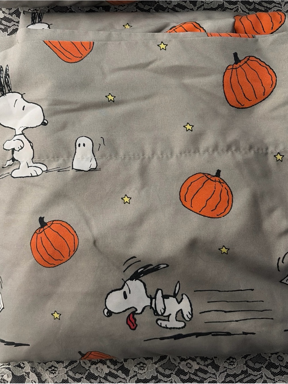 Peanuts Snoopy Halloween Queen Sheet Set